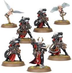 adepta sororitas: squadra castiganti