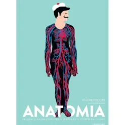 anatomia