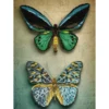 antique butterflies - diamond dotz intermediate dd9.064 37x52cm