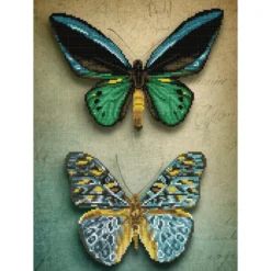 antique butterflies - diamond dotz intermediate dd9.064 37x52cm