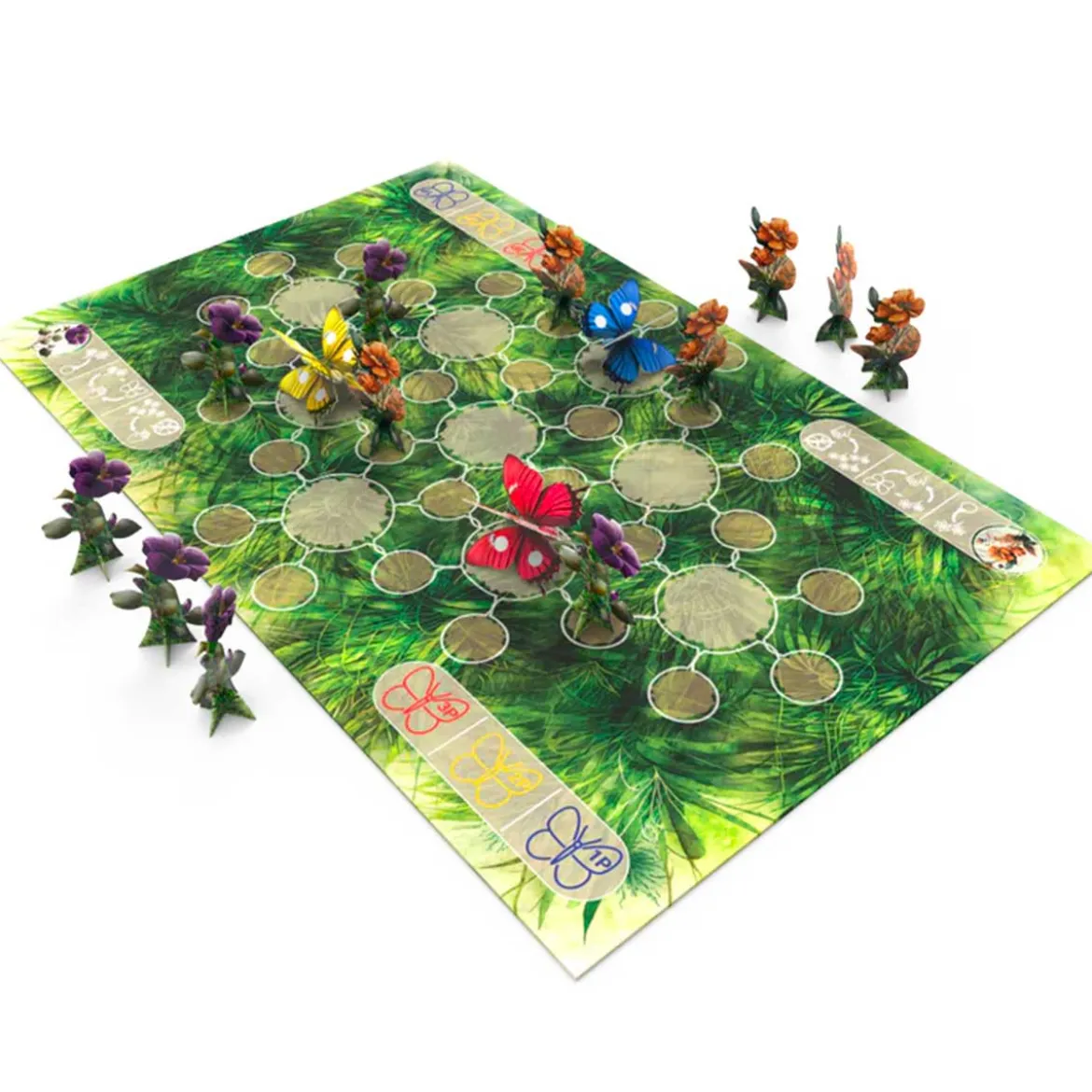 a peaceful garden