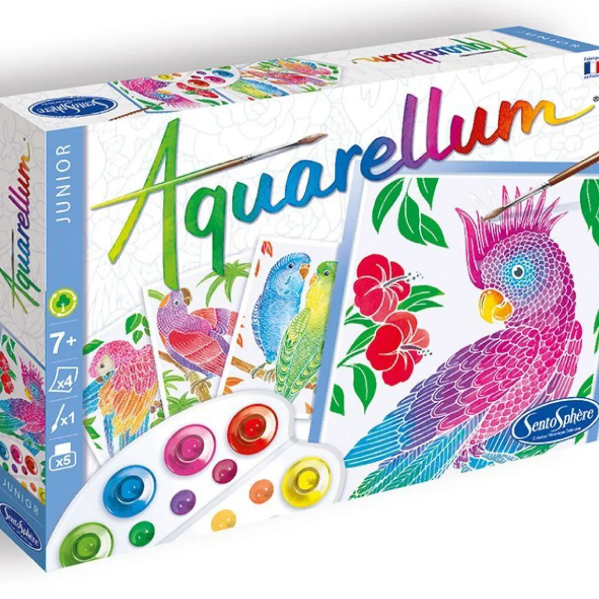 aquarellum junior - pappagalli