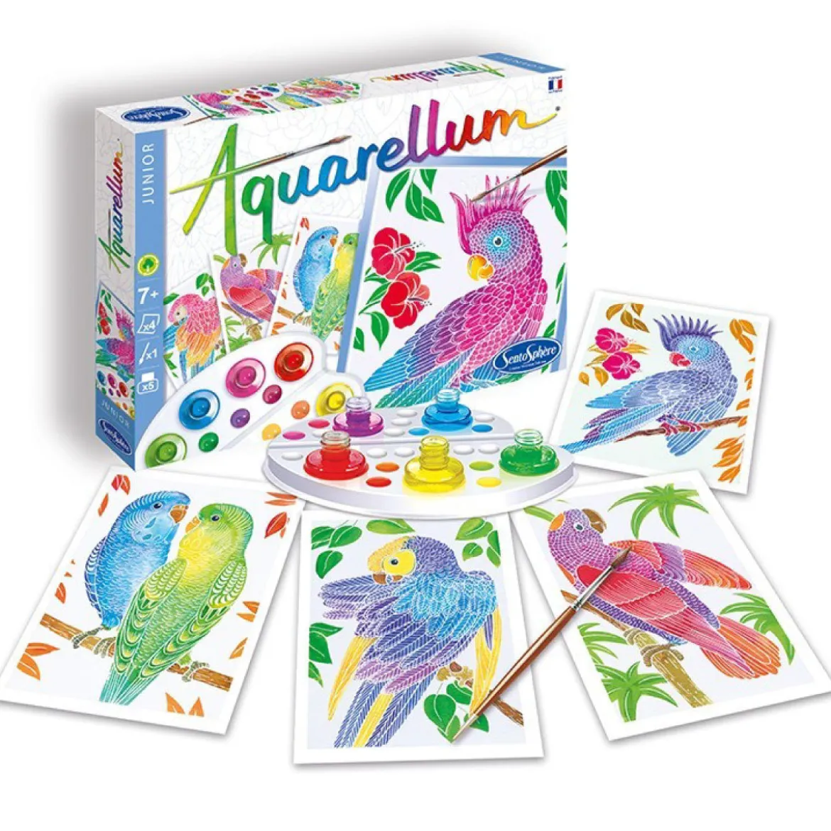 aquarellum junior - pappagalli