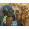baby's comfort - diamond dotz squares dq10.011 52x38cm