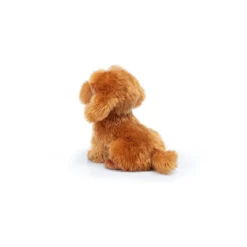 barboncino toy oliver seduto