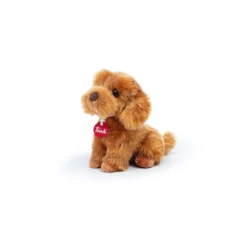 barboncino toy oliver seduto