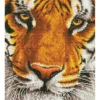 bengal magic - diamond dotz intermediate dd8.001 36x42cm