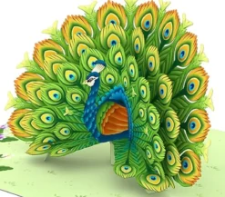 biglietto di auguri - pavone - kirigami