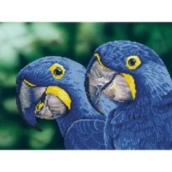 blue hyacinth macaws - diamond dotz intermediate dd9.023 52x37cm