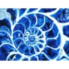 blue nautilus - diamond dotz intermediate dd9.057 51.5x37cm