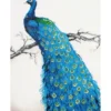 blue peacock - diamond dotz advanced dd13.012 60x84cm