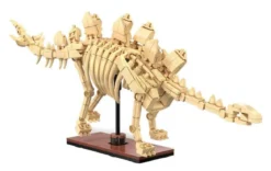 cada - dinosaur fossils: stegosaurus - 279 pz.