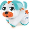 cagnolino cercacoccole