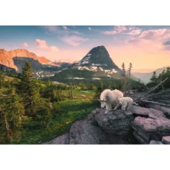 capra e capretta alpina - puzzle 3000 pezzi