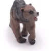 cave bear
