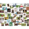 collage di animali divertenti - puzzle 1500 pezzi