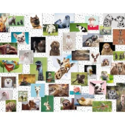 collage di animali divertenti - puzzle 1500 pezzi
