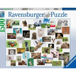 collage di animali divertenti - puzzle 1500 pezzi