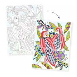 colouring gallery uccelli