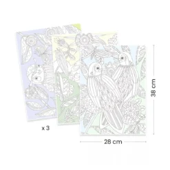 colouring gallery uccelli