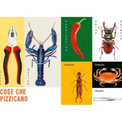cose così cose cosà. ediz. a colori