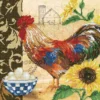 country rooster - diamond dotz intermediate dd9.049 41x41cm