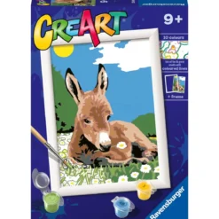 creart - asinello