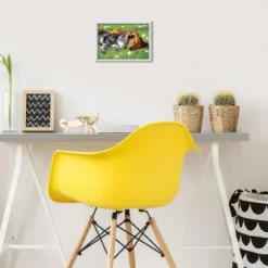 creart - cane e gatto dolce sonno