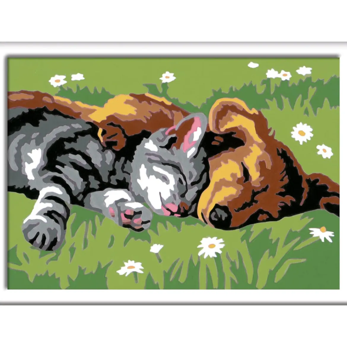 creart - cane e gatto dolce sonno
