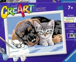 creart - serie d - amicizia speciale