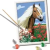 creart serie d classic - cavallo haflinger