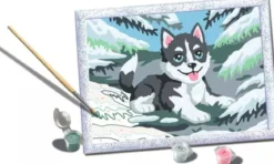 creart - serie d - husky giocoso