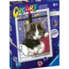 creart - teneri gattini