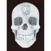 crystal skull - diamond dotz intermediate dd10.021 42x60cm