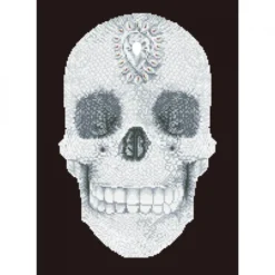 crystal skull - diamond dotz intermediate dd10.021 42x60cm