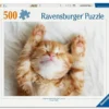cucciolo di gatto - puzzle 500 pezzi