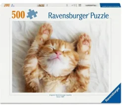 cucciolo di gatto - puzzle 500 pezzi