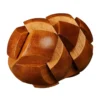 darwin's egg of evolution puzzle