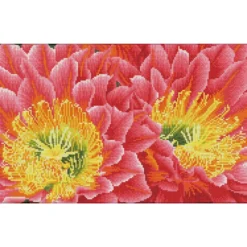 desert blooms - diamond dotz squares dq9.009 52x32cm