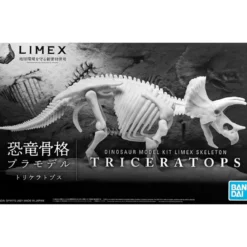 dinosaur limex skeleton triceratops mk
