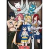 fairy tail - poster maxi 91,5x61cm - group