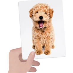 flashcards tactile montessori