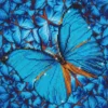 flutter by blue - diamond dotz intermediate dd5.014 30.5x30.5cm