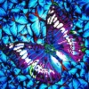 flutter by mauve - diamond dotz intermediate dd5.017 30.5x30.5cm