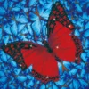 flutter by red - diamond dotz intermediate dd5.020 30.5x30.5cm
