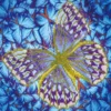 flutter by silver - diamond dotz intermediate dd5.023 30.5x30.5cm