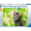 gattino nel prato - puzzle 500 pezzi