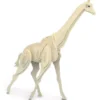 giraffe - kit di costruzioni in legno (certificazione fsc)
