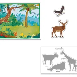 gli animali - montessori sapientino