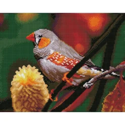 gouldian finch - diamond dotz squares dq8.016 41x31cm